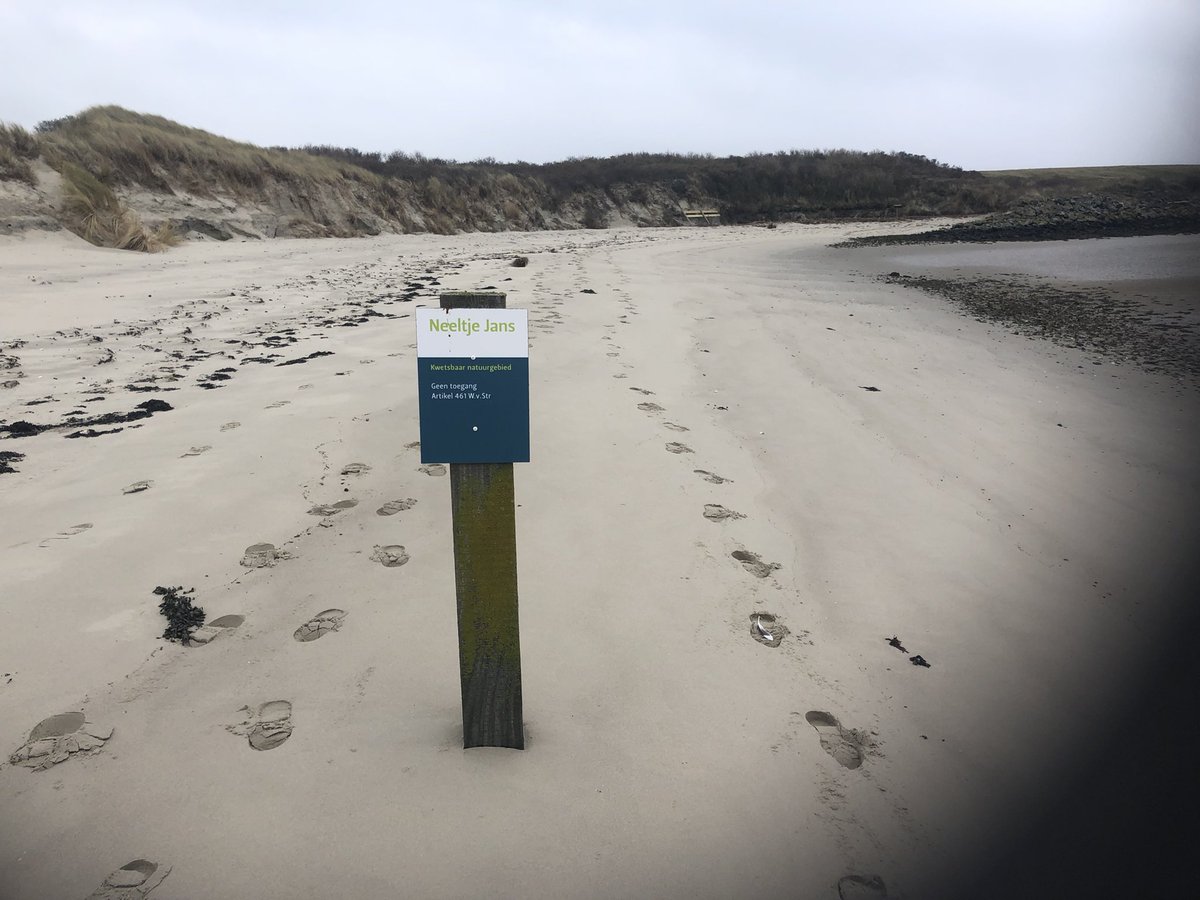 Frans van Zijderveld tweet media