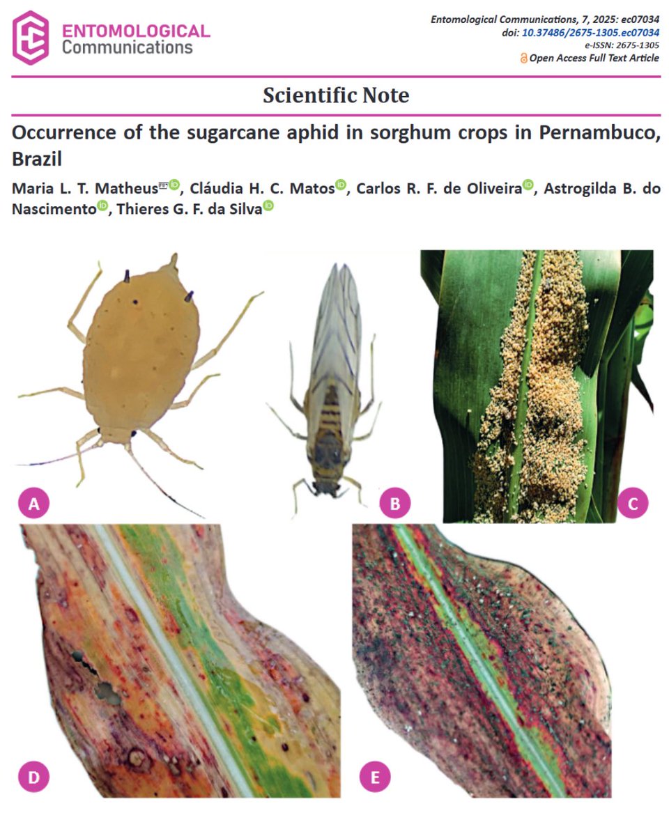 Entomological Communications tweet media