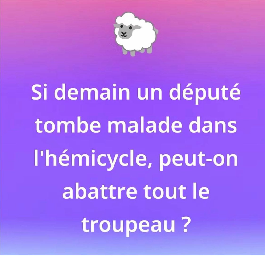 lisibgs's tweet image. 