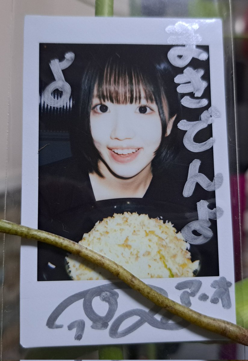 いつも仕事は県外なので出張から戻ると香港チェキが届いてました