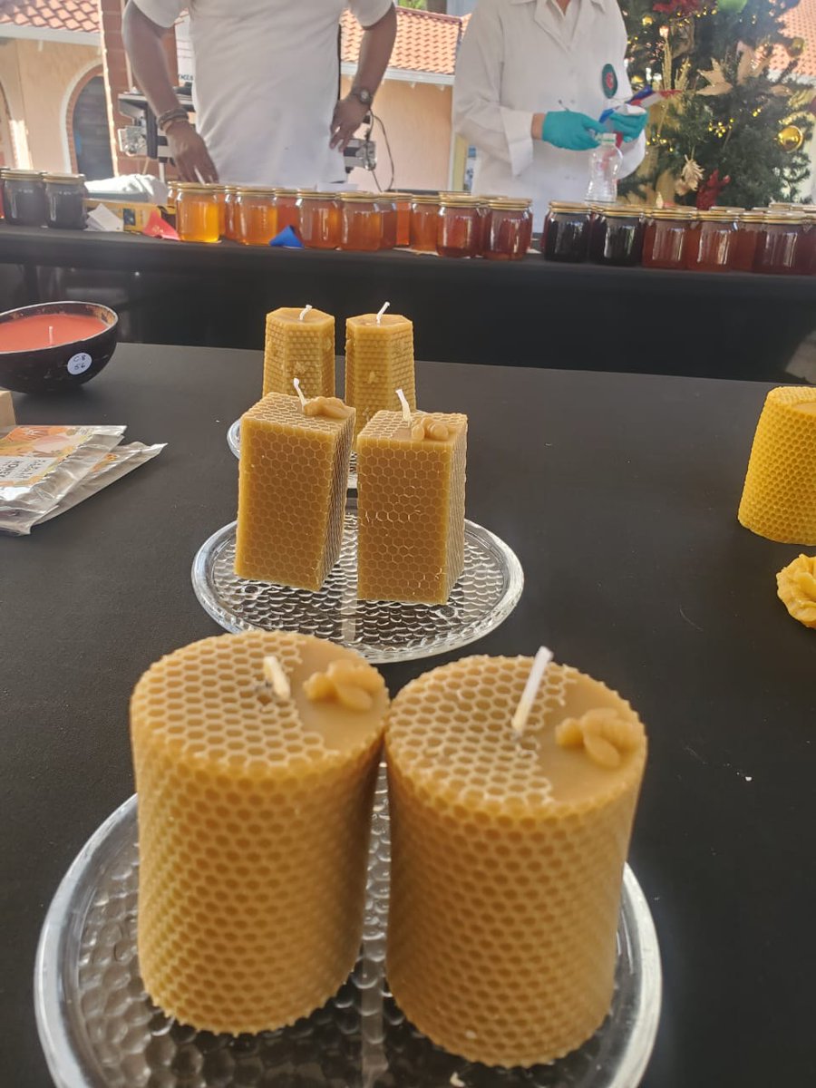 IICA ECS tweet media