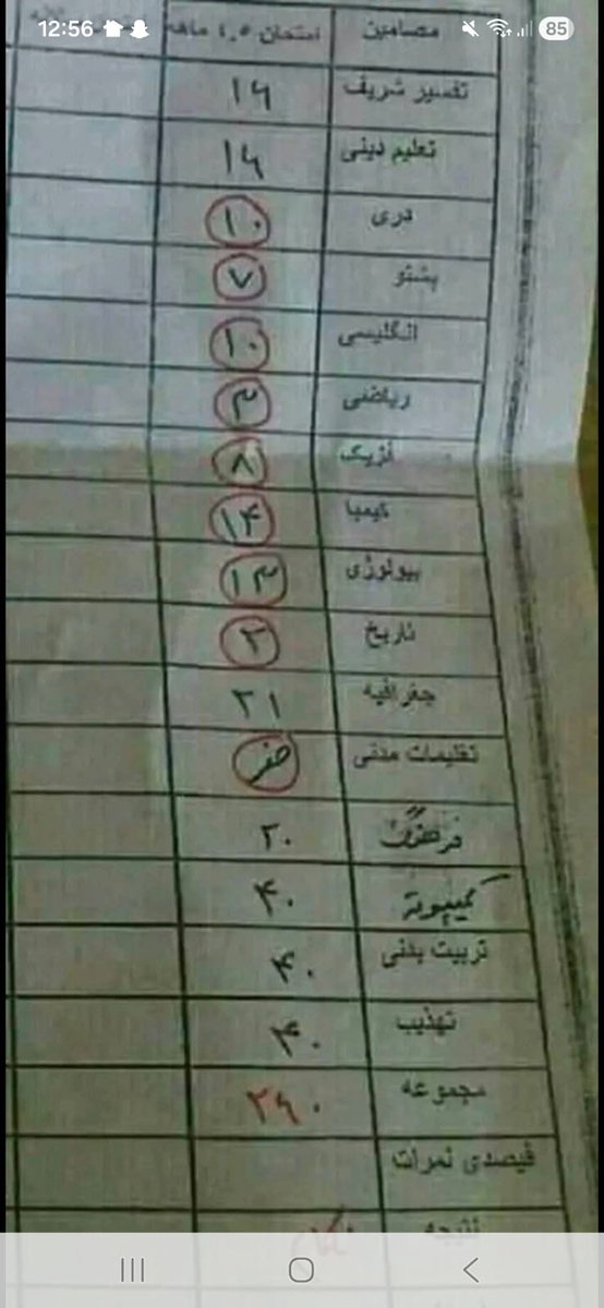پارچه چهارنیم ماهه ۹۰ فیصد تحليلگران انترنتی. بعضی تان در فرهنگ و تهذیب هم چراغان کردین.
