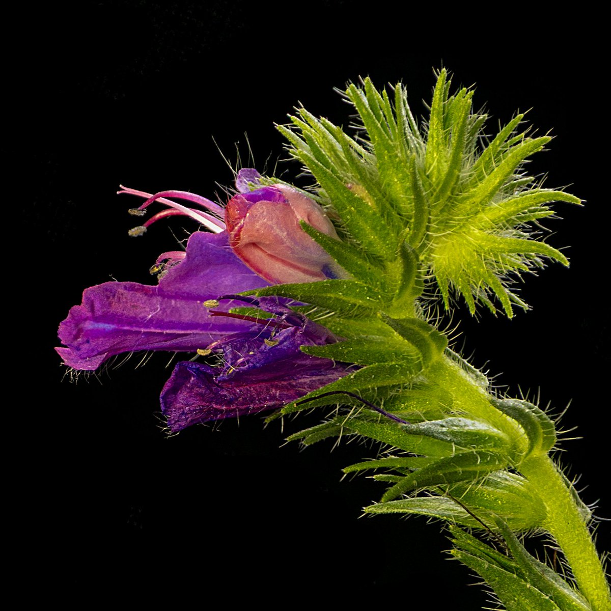 Photography Tricks and Tips tweet media