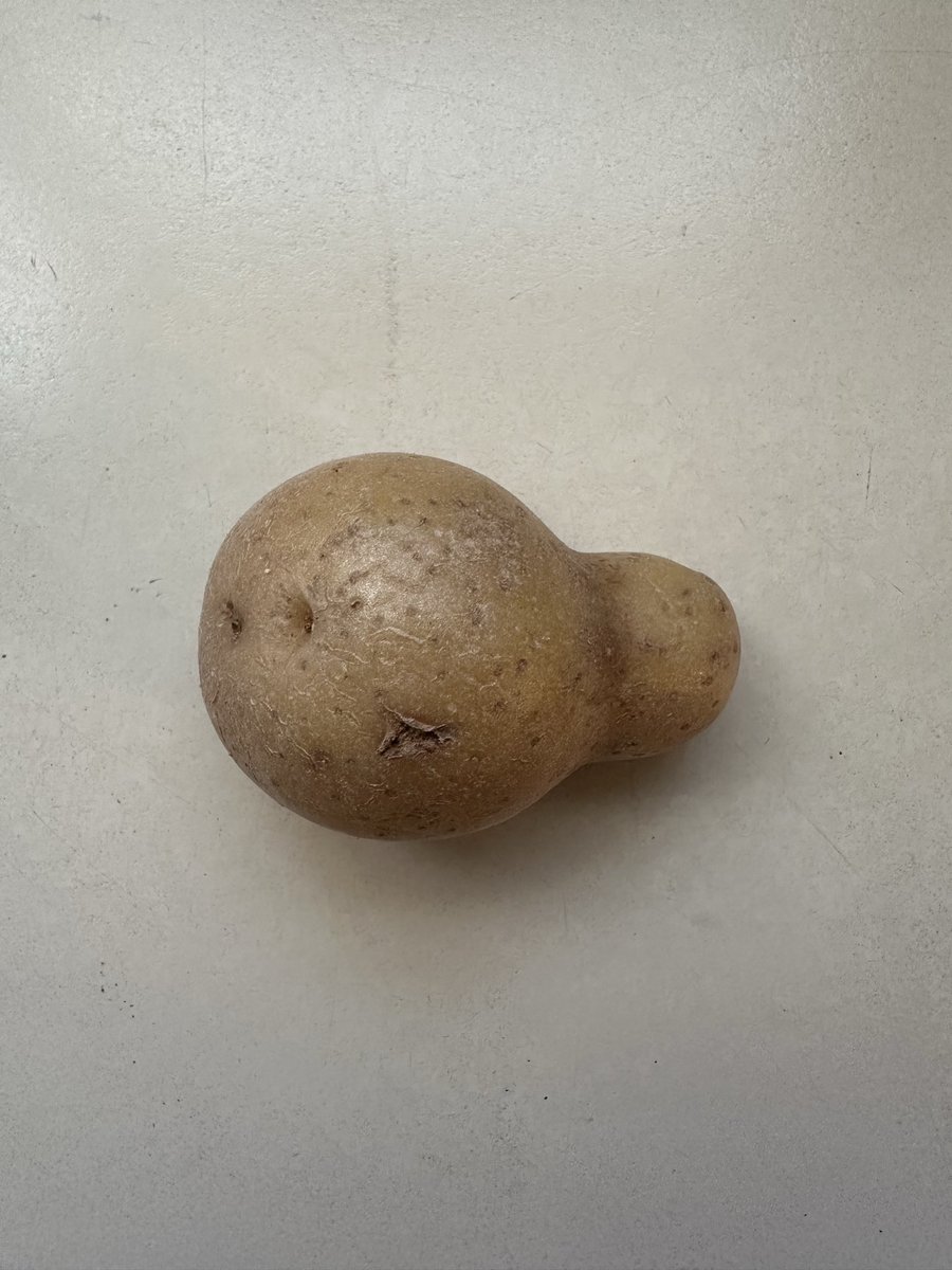 Milo B. Fasken, Ph.D. (he/him) tweet media