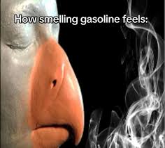 TheRoyalSerf's tweet image. 