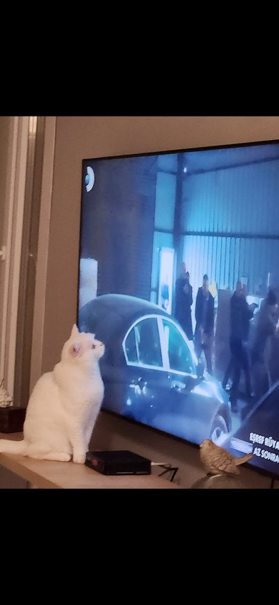 Biz burdan devam 🙂 #esrefrüya