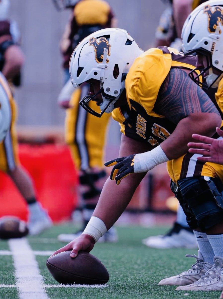 VV Jackrabbit Football tweet media