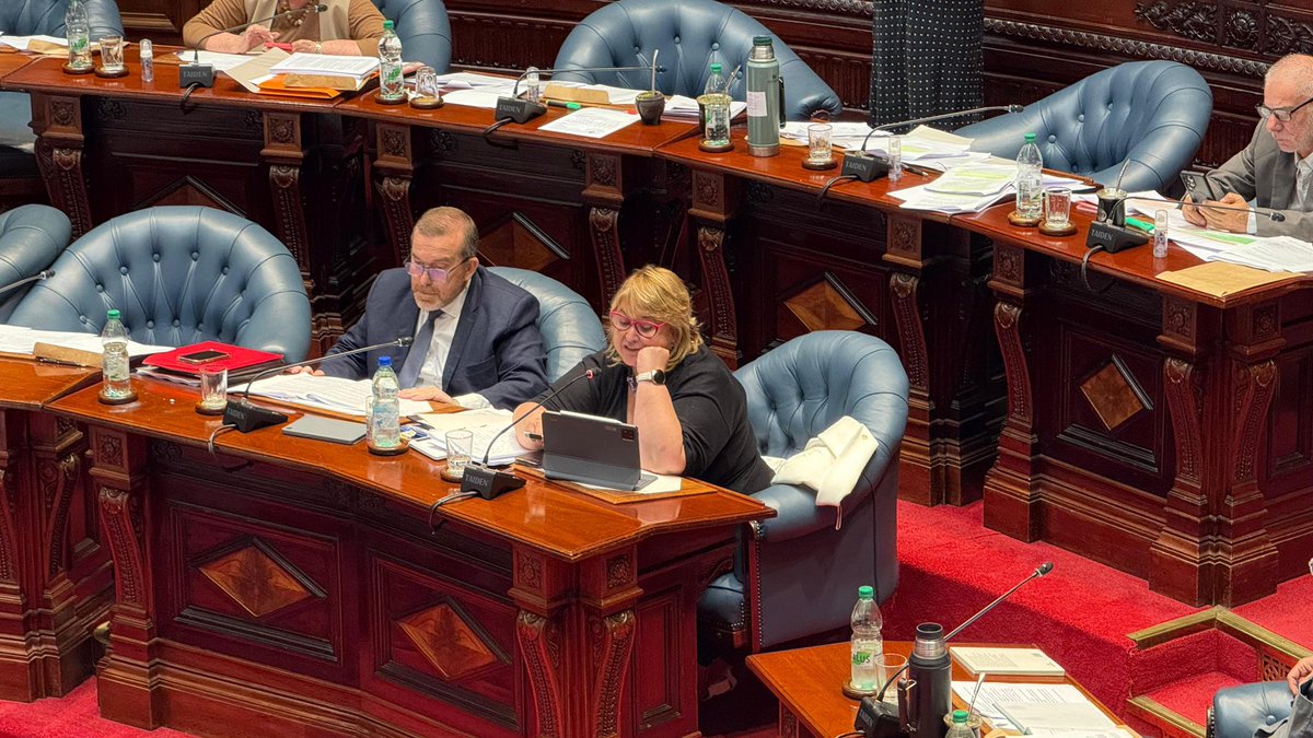 MDN_Uruguay's tweet image. Continúa en la Cámara de Senadores la interpelación a la Ministra de Defensa Nacional @sandralazo2. 

youtube.com/live/65Q9GwIlu…