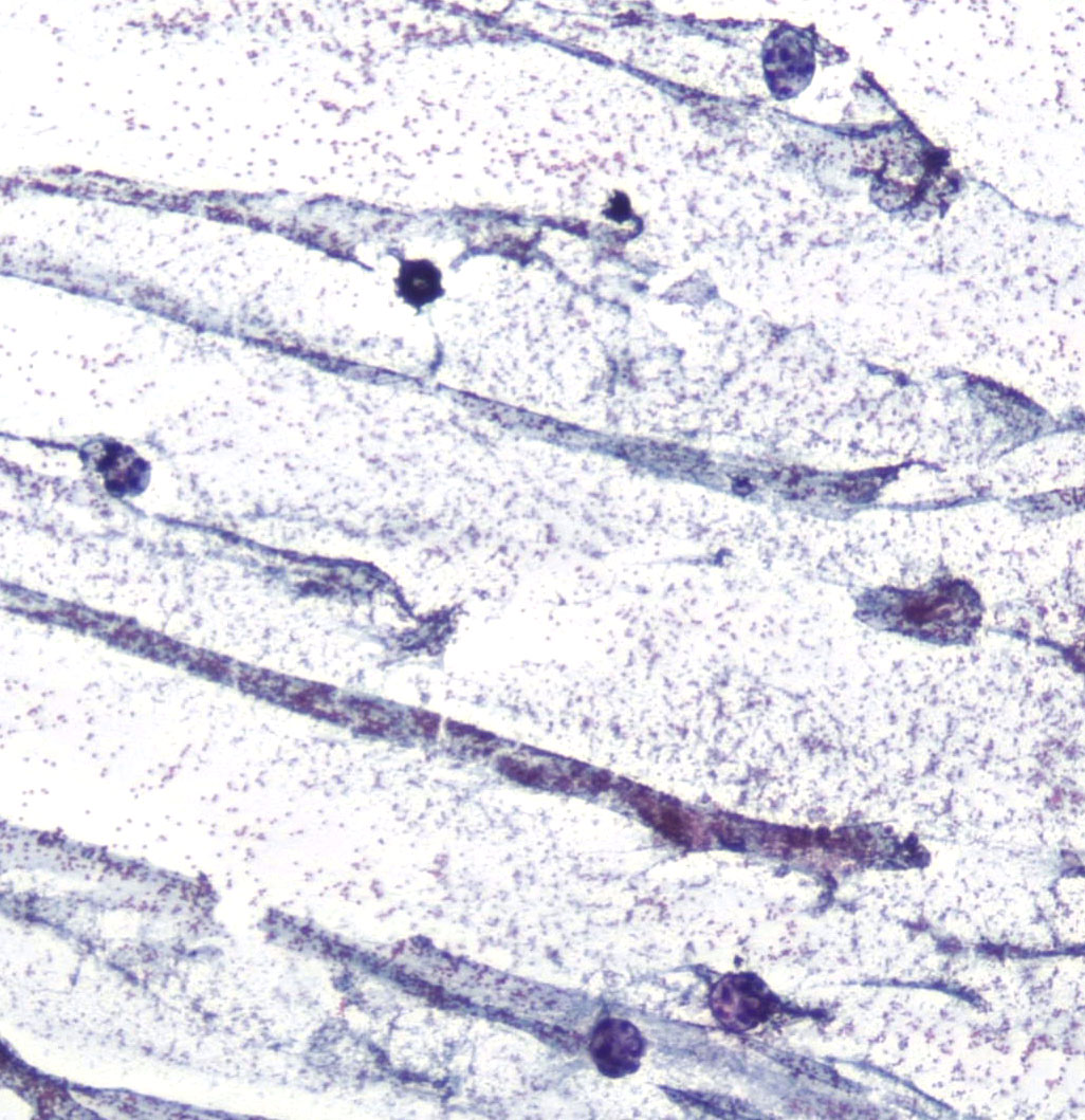 Lola Lozano tweet media