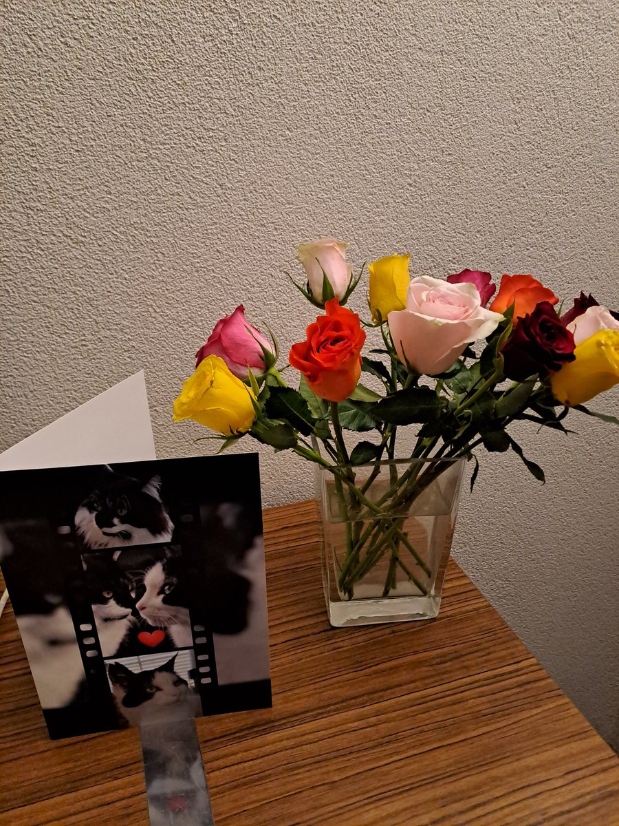 #Wybert scooby en personeel wat mooi, maar dit had niet gehoeven, wel heel lief ❤️❤️❤️😻❤️❤️❤️