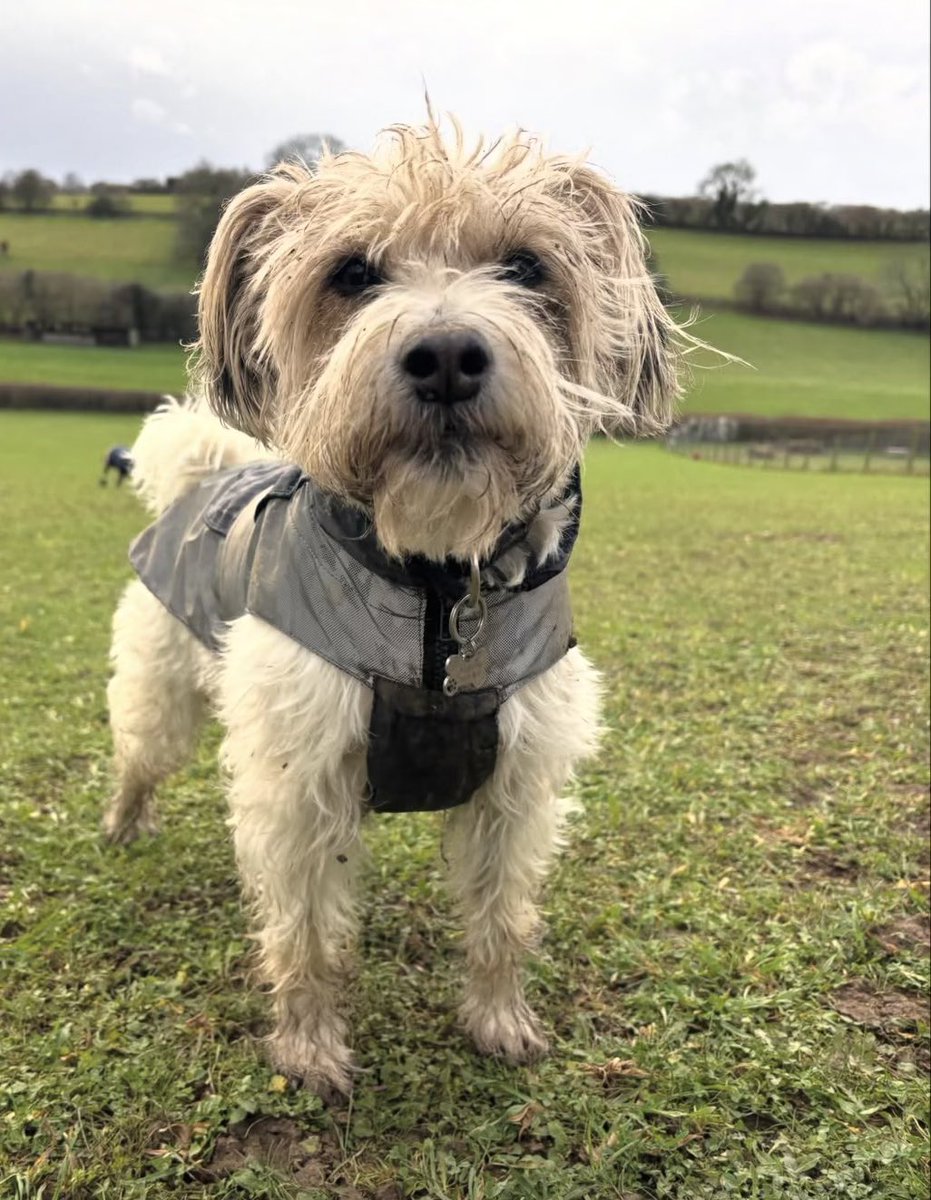 James Dreyfus tweet media