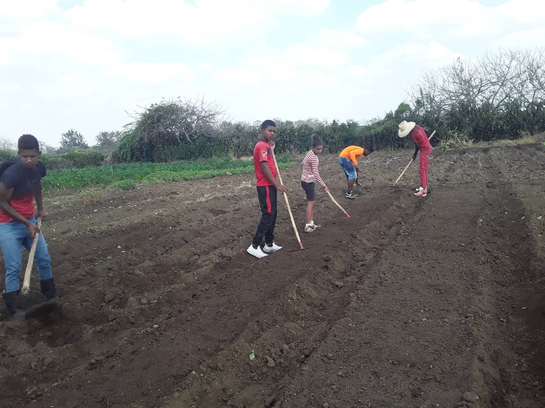 Examen Final Profesional de la especialidad de Técnico Medio en Agronomia en el IPA Manifiesto de Montecristi <a href="/CubaMined/">MINED</a> <a href="/JLBrocheLorenzo/">Jorge Luis Broche Lorenzo</a> <a href="/EducacionJobabo/">Educacion jobabo</a>