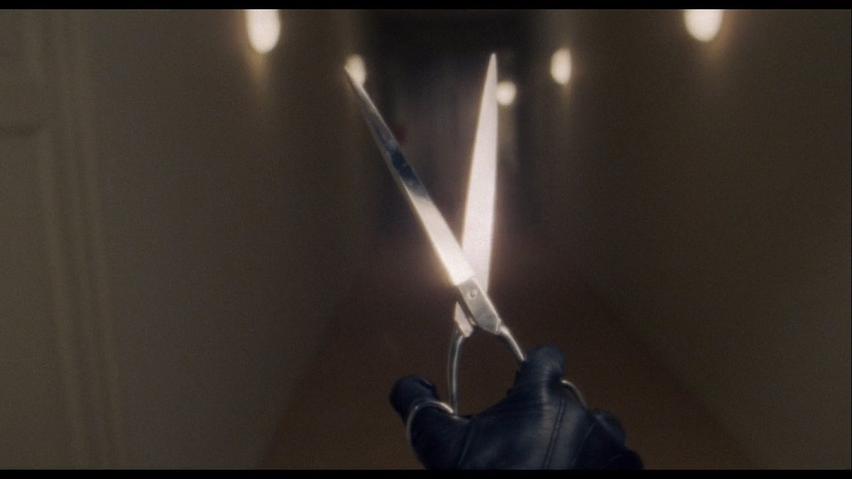 Attack of the Giallo scissors!

Browsing Tubi's Italian Horror section, currently watching an '85 flick called NOTHING UNDERNEATH, about a park ranger that's seemingly telepathically linked to his model sister in Milan.