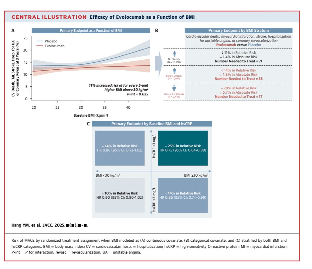 👉Obesity, ASCVD &amp; PCSK9 Inhibition: What FOURIER Really Shows
Just published in <a href="/JACCJournals/">JACC Journals</a> 

☝️Obesity = higher cardiovascular risk. In the placebo arm, every +5 BMI units above 30 kg/m² increased MACE risk by 11%.

☝️Benefit of evolocumab grows as BMI increases.
•BMI <30: