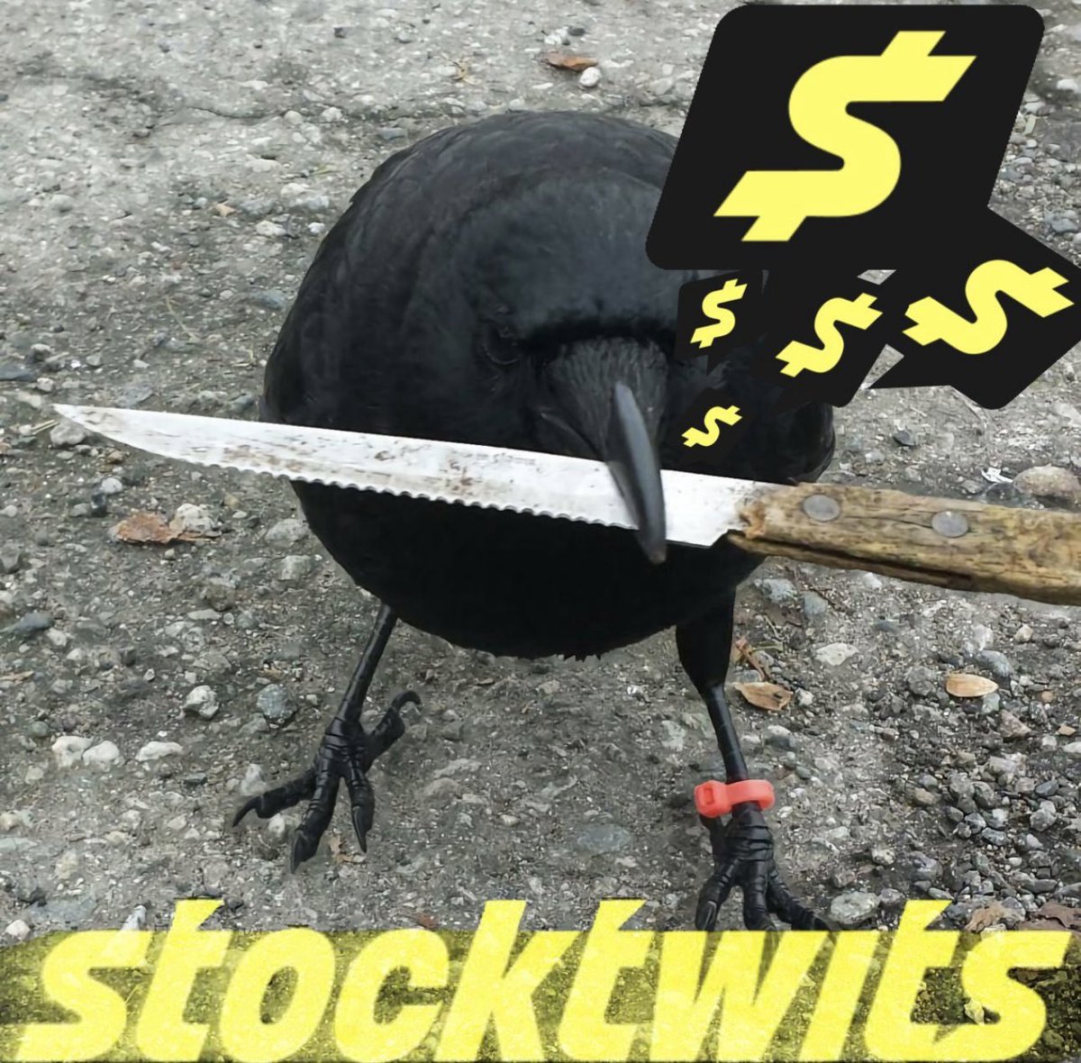 crow_with_knife's tweet image. twits twits