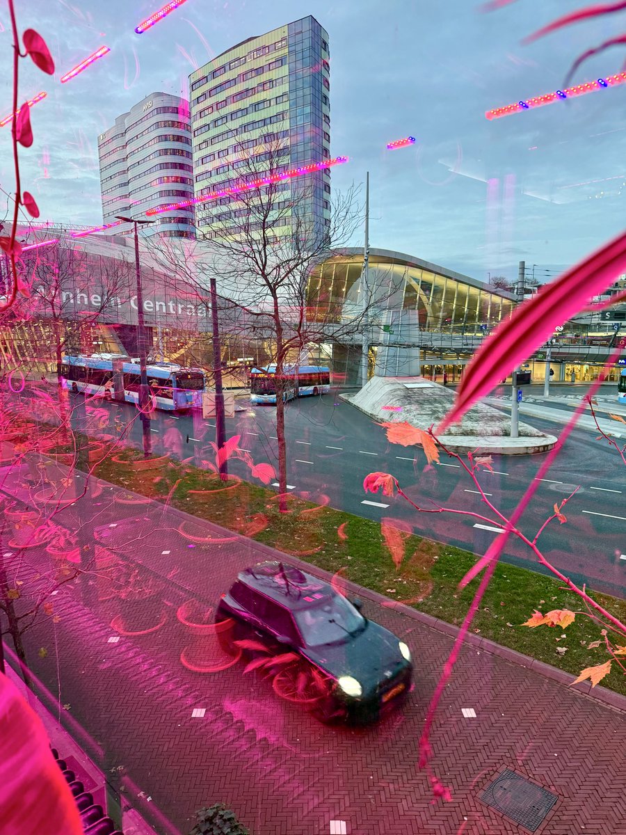 Arnhem ondertekent Plant Based Treaty in Restaurant LOCALS