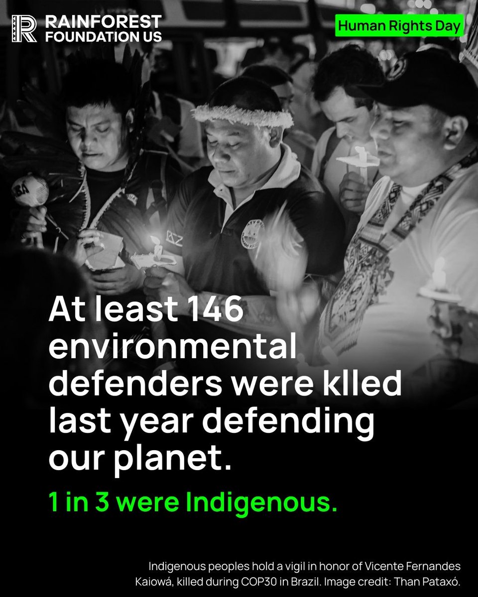 Rainforest Foundation US tweet media