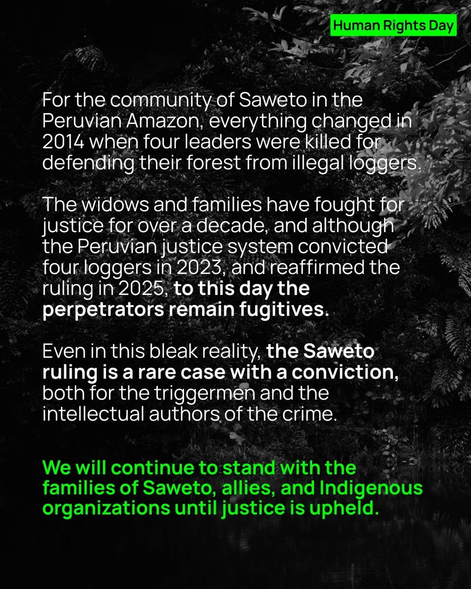 Rainforest Foundation US tweet media