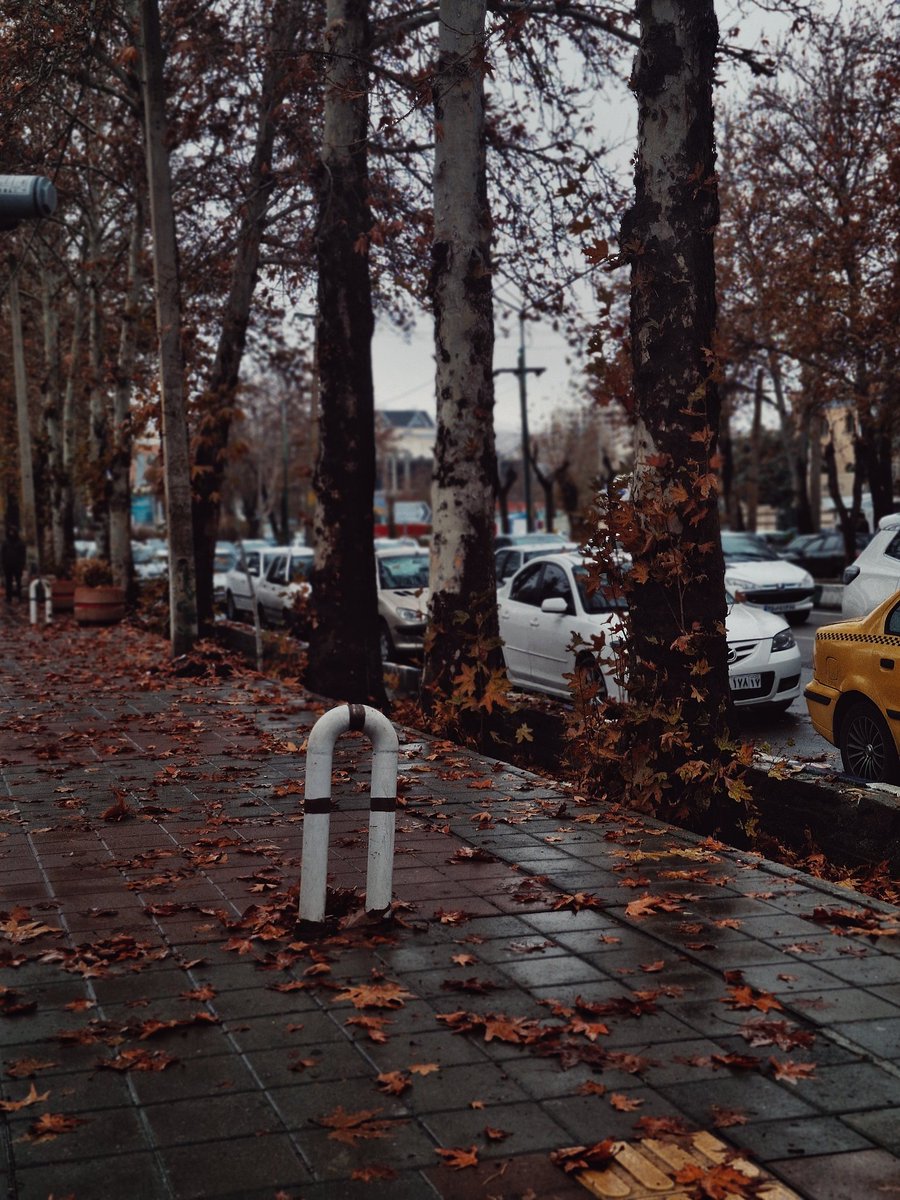 candaceeeee tweet media