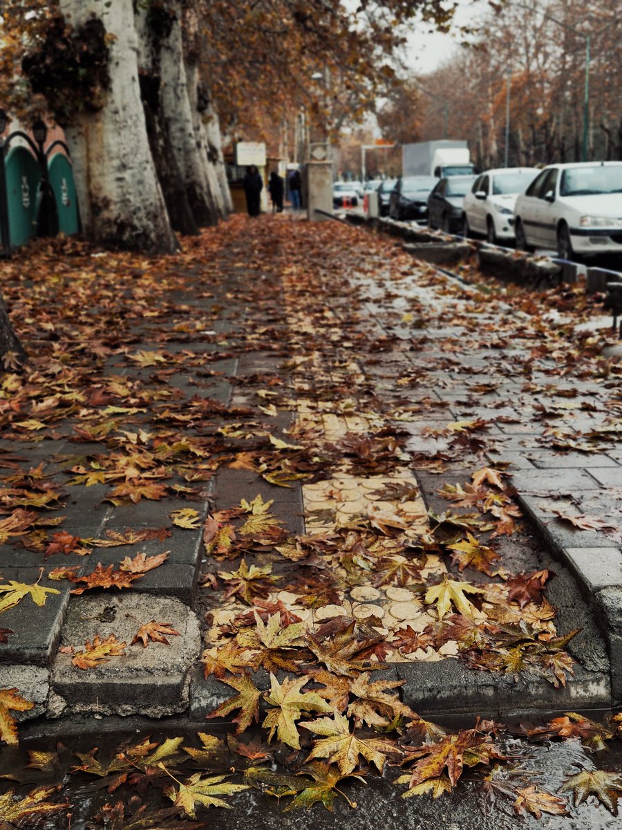 candaceeeee tweet media