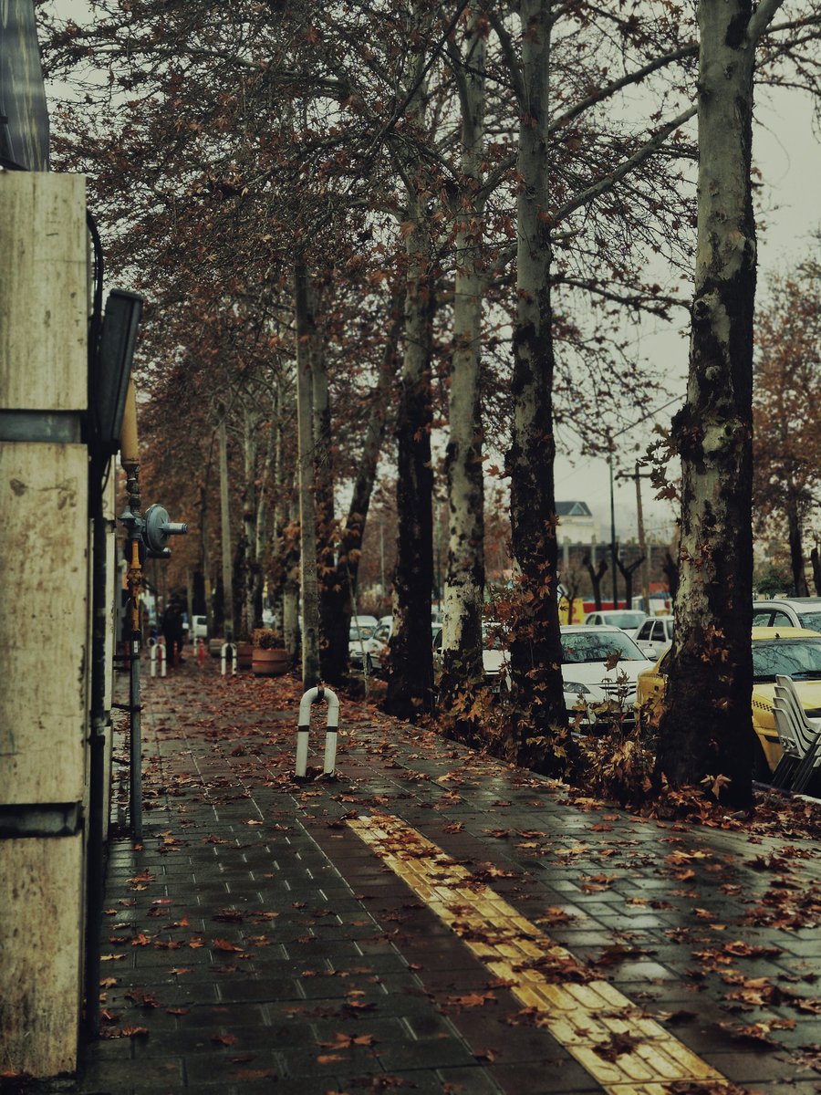 candaceeeee tweet media