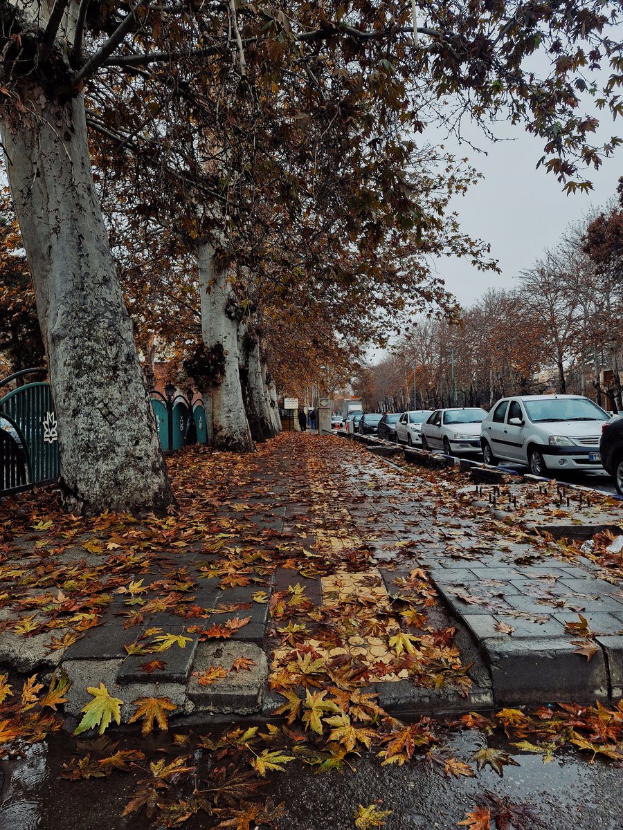 candaceeeee tweet media