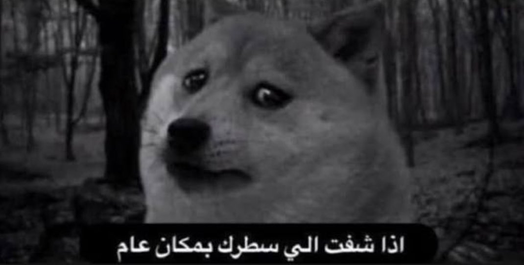 حصل