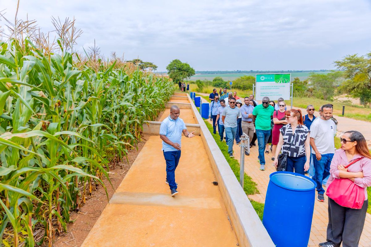 RICA_Rwanda's tweet photo. Today, we hosted a delegation from the Susan Thompson Buffett Foundation, a major US based philanthropic organization, for a courtesy visit to RICA. The @buffett_susan team was taken on a tour of various RICA enterprises and visited the campus demonstration sites to gain insights into conservation agriculture practices and our entrepreneurship program.