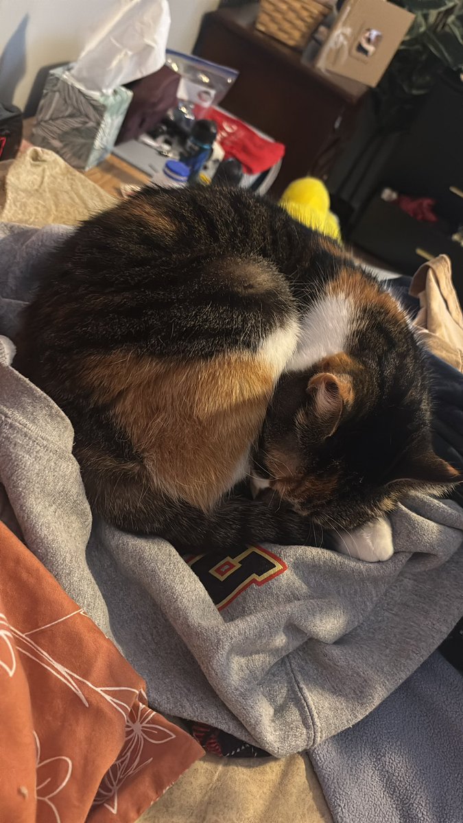 Blossum is taking her lunch break