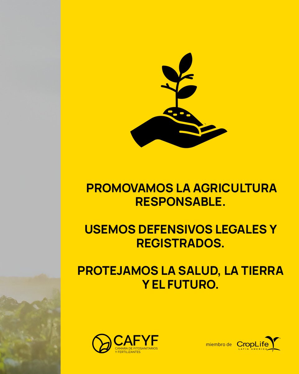 CAFYFpy's tweet photo. El uso de defensivos agrícolas ilegales representa una amenaza significativa para la salud pública y el medio ambiente. 

Es crucial promover prácticas agrícolas responsables y el uso de defensivos agrícolas legales y registrados. Protejamos nuestra salud y al medio ambiente🌍 https://t.co/5vOhVJdwXm