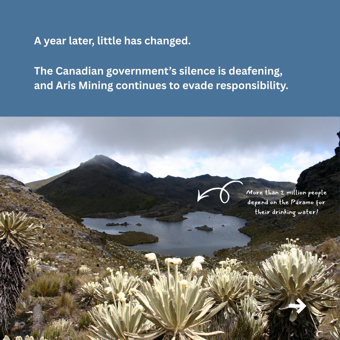 MiningWatch Canada tweet media