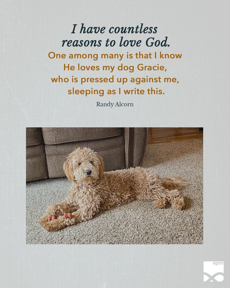 I have countless reasons to love God; that God created and loves my dog Gracie gives me full permission to love her too. You might dismiss it as sentimentality, but I call it having a loving relationship with a wonderful creature made by a wonderful God. ref.ly/Ge1.31