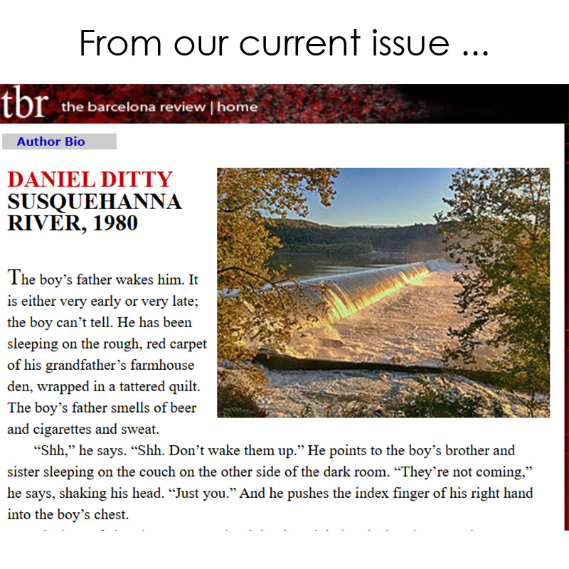 The Barcelona Review tweet media