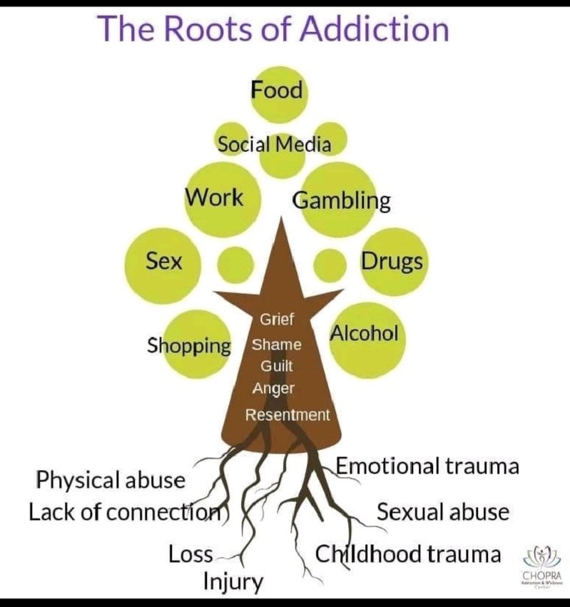 COPIED! "People oftwn assume addiction starts with a "bad decision," but everyone's story differs. It rarely grows out of weakness but wounds. Begins in the quiet places where pain was never expressed, emotions dismissed, a time when one needed a hand but in vain."~Mubarak M. Ali