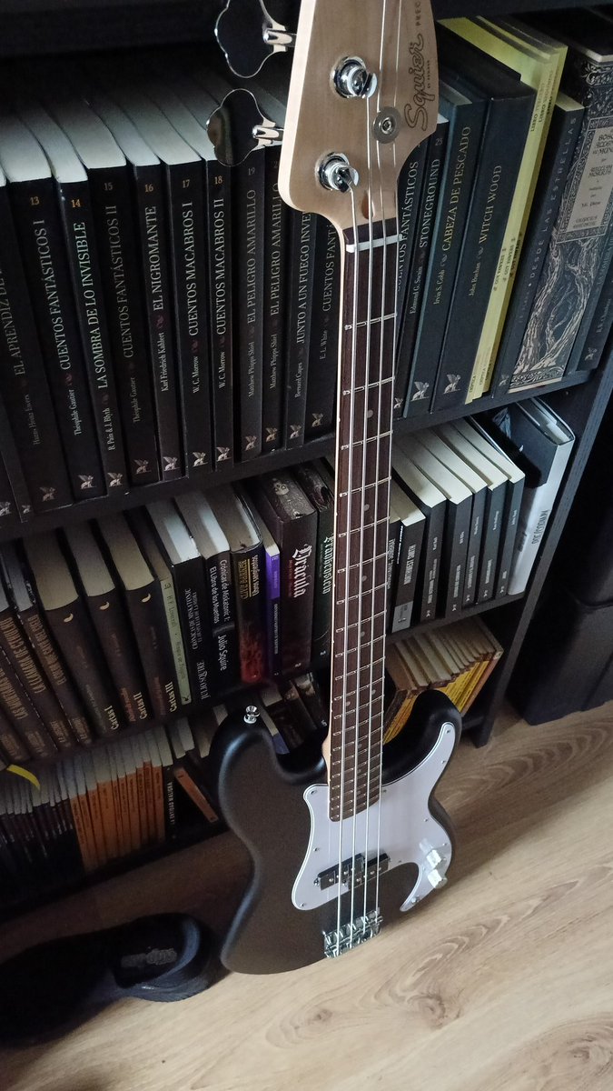 Pues me ha llegado el autoregalo de Reyes. Como para la batería no hay sitio, y siempre he dudado entre uno y otro, pues es lo que ha caído. Les Claypool, allá voy.