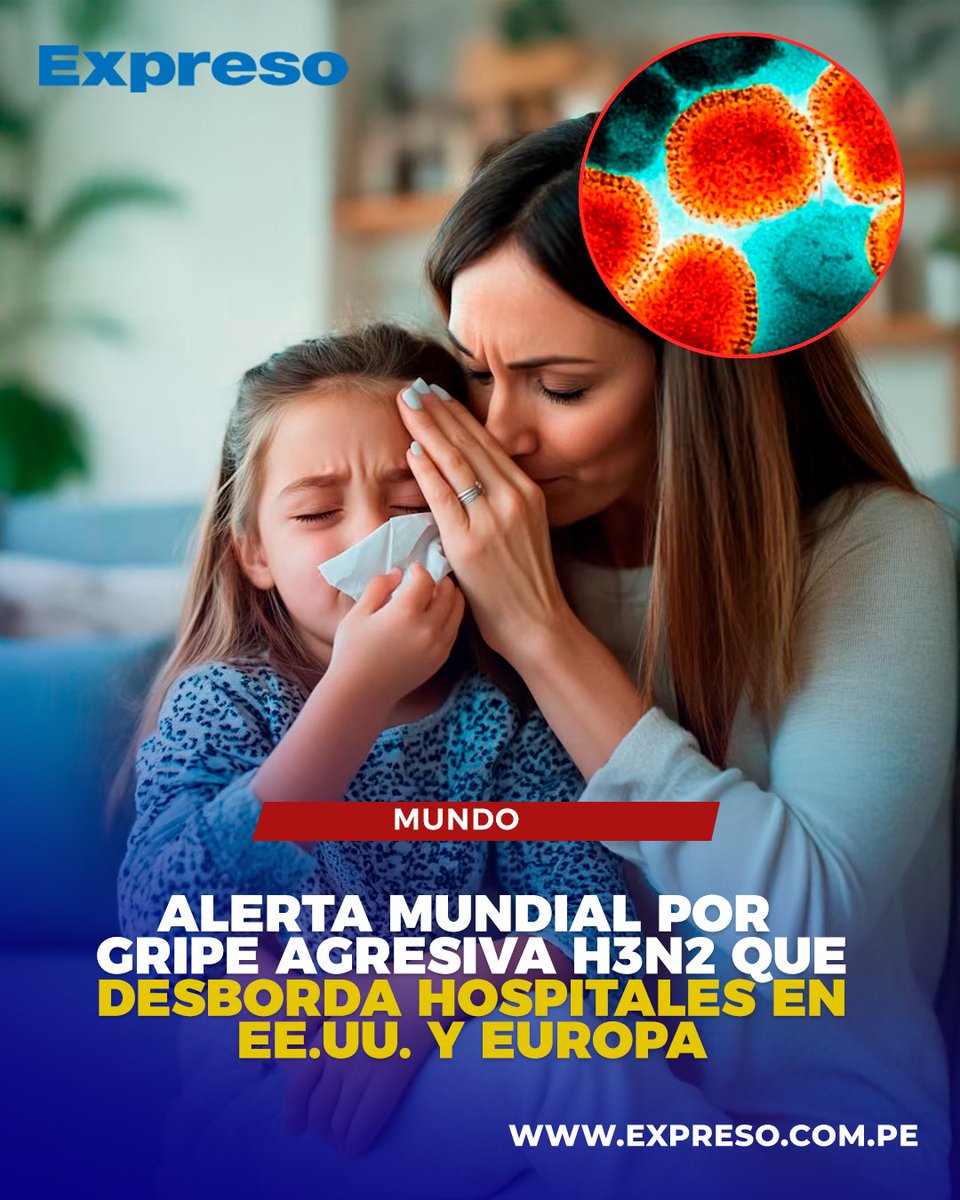 ExpresoPeru's tweet photo. 🔵⚪ Una nueva y agresiva gripe ha encendido las alarmas en todo el mundo, con fuertes brotes ya presentes en Estados Unidos y Europa. En esta nota, te contamos cuáles son sus síntomas y qué medidas debes tomar para cuidarte.

📸Foto: Difusión.

📲 Lee la nota completa aquí: https://t.co/kvoVwAfyGk  y en nuestras historia.