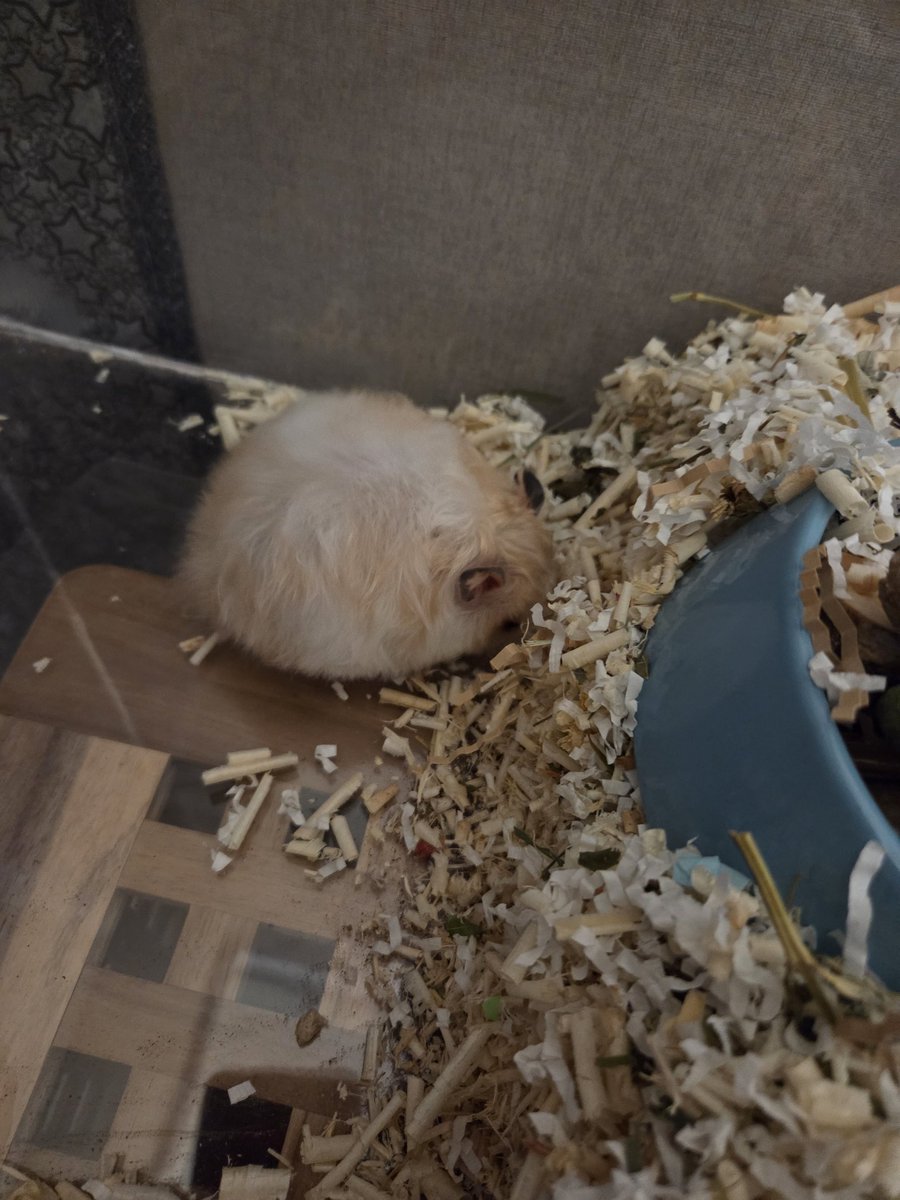 왤케 동그랗지..