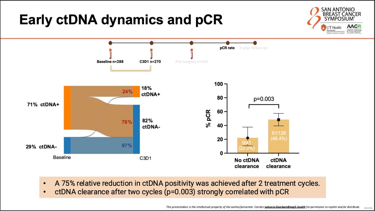 Sergio Cifuentes tweet media