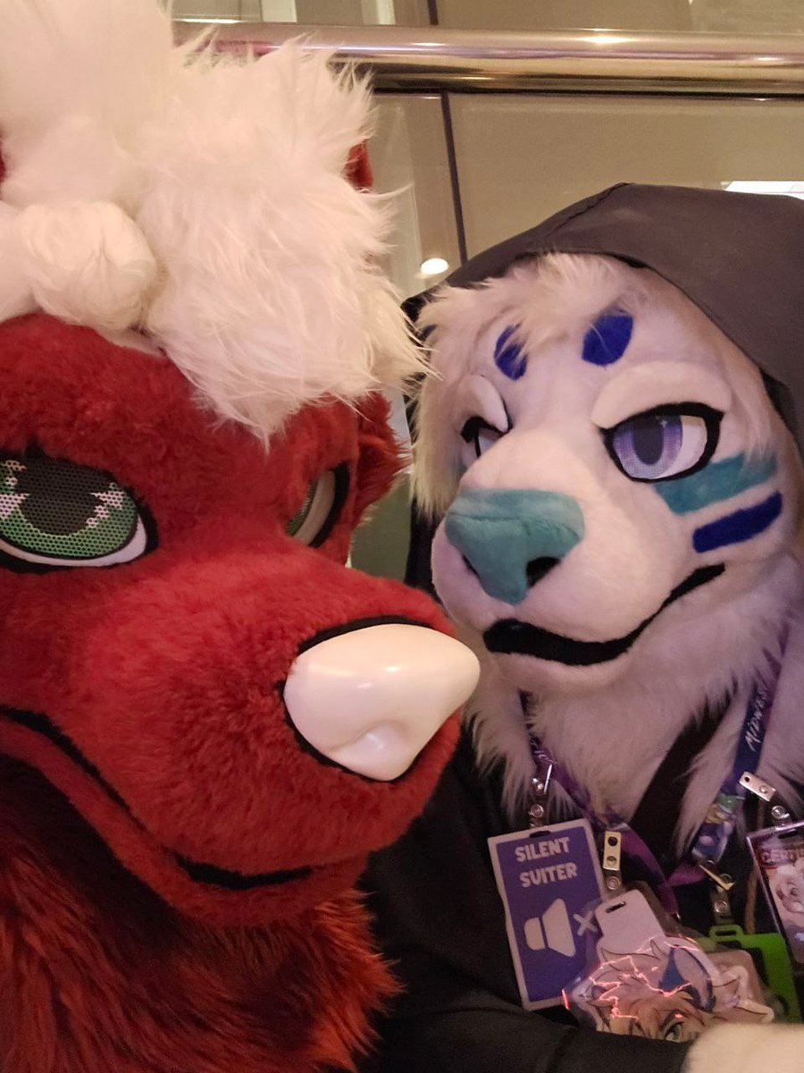 Monty_the_lion's tweet image. its a wild @danderwoolf