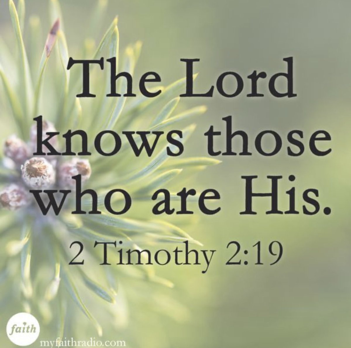 One_Of_His's tweet image. 2 Timothy 2:19 KJV
Nevertheless the foundation of God standeth sure, having this seal, The Lord knoweth them that are his. And, Let every one that nameth the name of Christ depart from iniquity. 
#JesusisLord
#JesusSaves
#Godknows