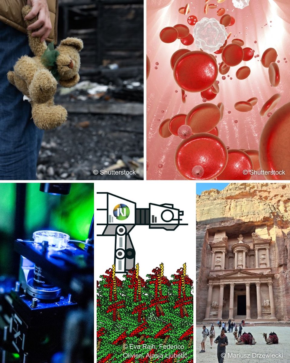 European Research Council (ERC) tweet media