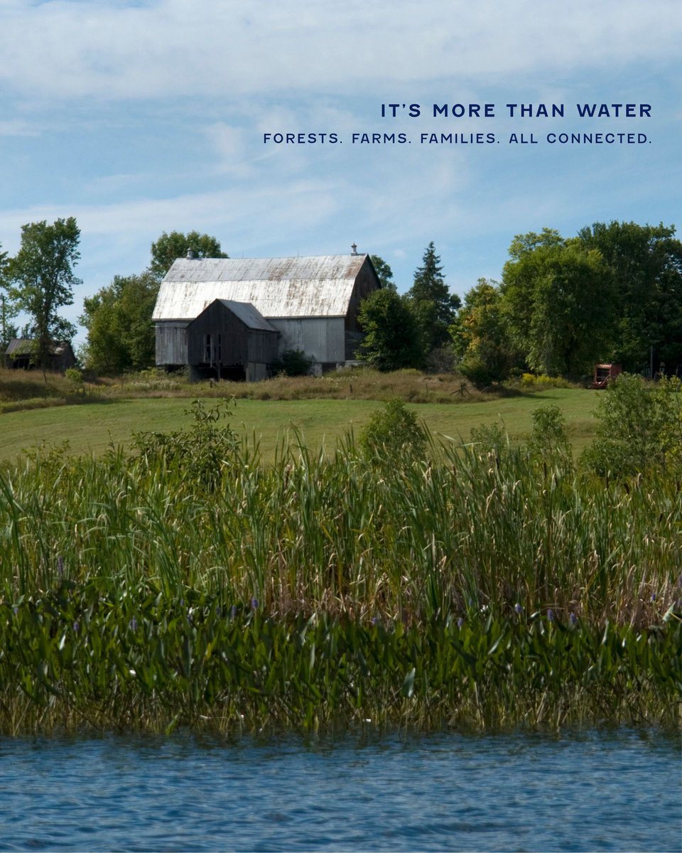muskokawatershd's tweet photo. One raindrop can travel 200 km through 13 municipalities from Algonquin to Georgian Bay. Water crosses borders; planning doesn’t. Integrated Watershed Management brings everyone together to plan watershed-wide: less flood risk, healthier lakes, smarter growth. https://t.co/3GHBTJtCYm