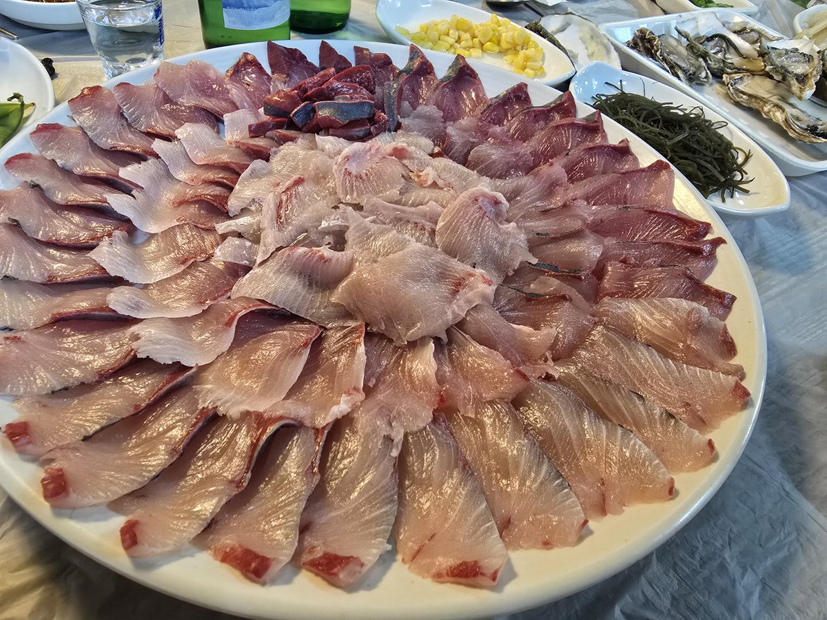 월요방어 수요방어 방어2연사🐟