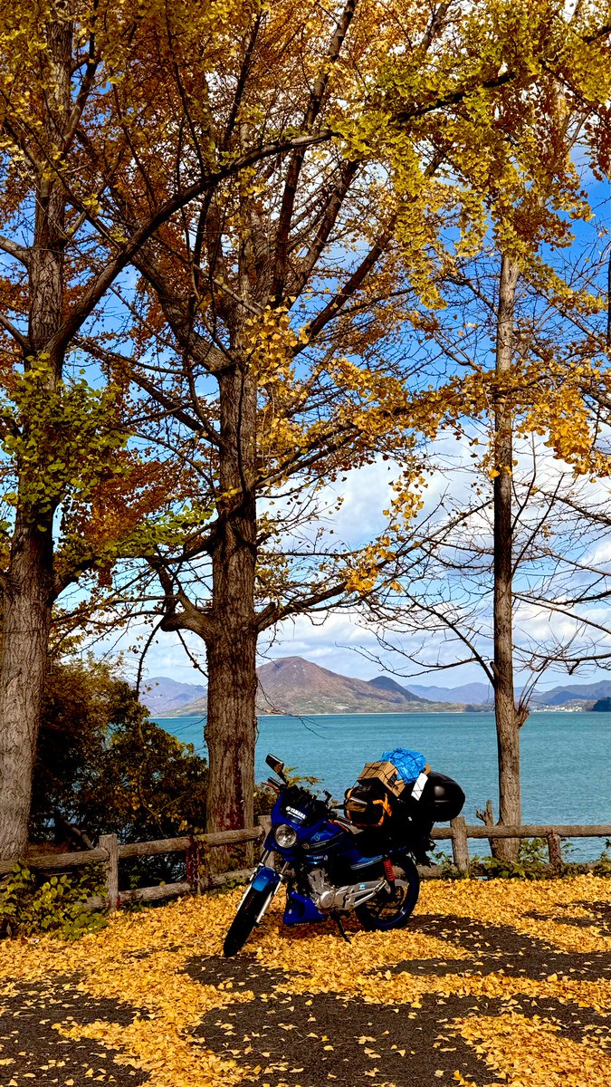 外は遅い秋色🍁
先週キャンプ⛺️ツーリング🛵に行ってきました。