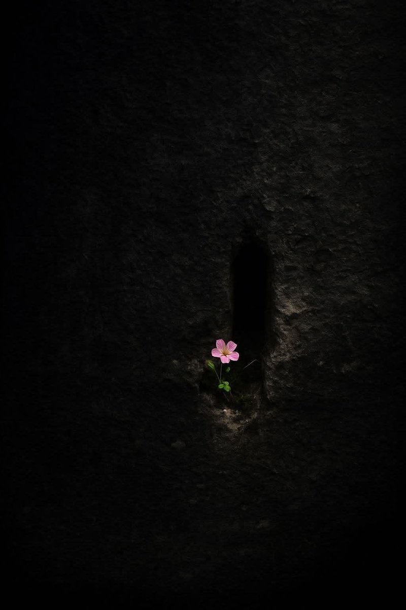 “Hiç beklemediğin zaman olacak.”