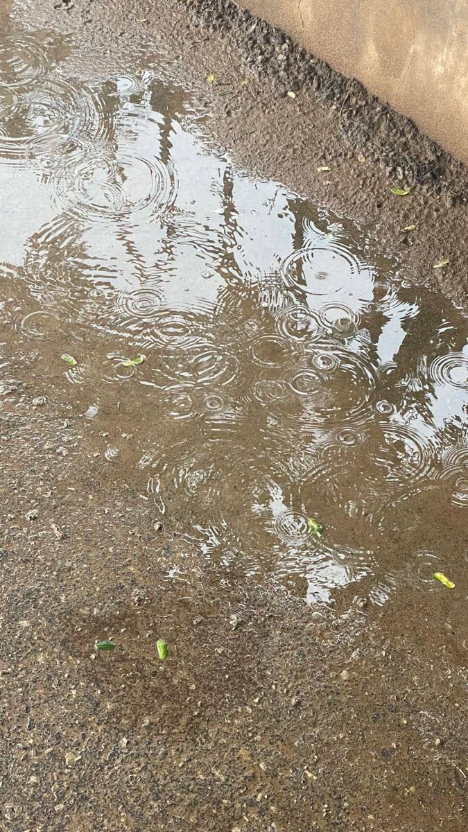 zainab in Gaza 🍉 tweet media