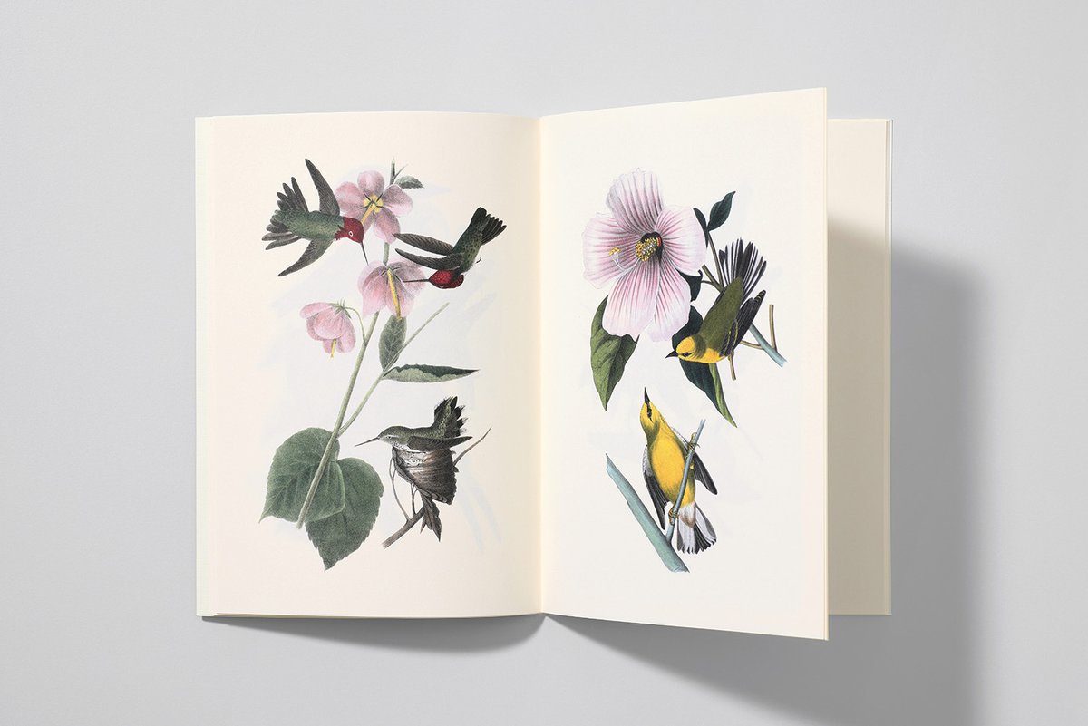 Reliefs Éditions tweet media