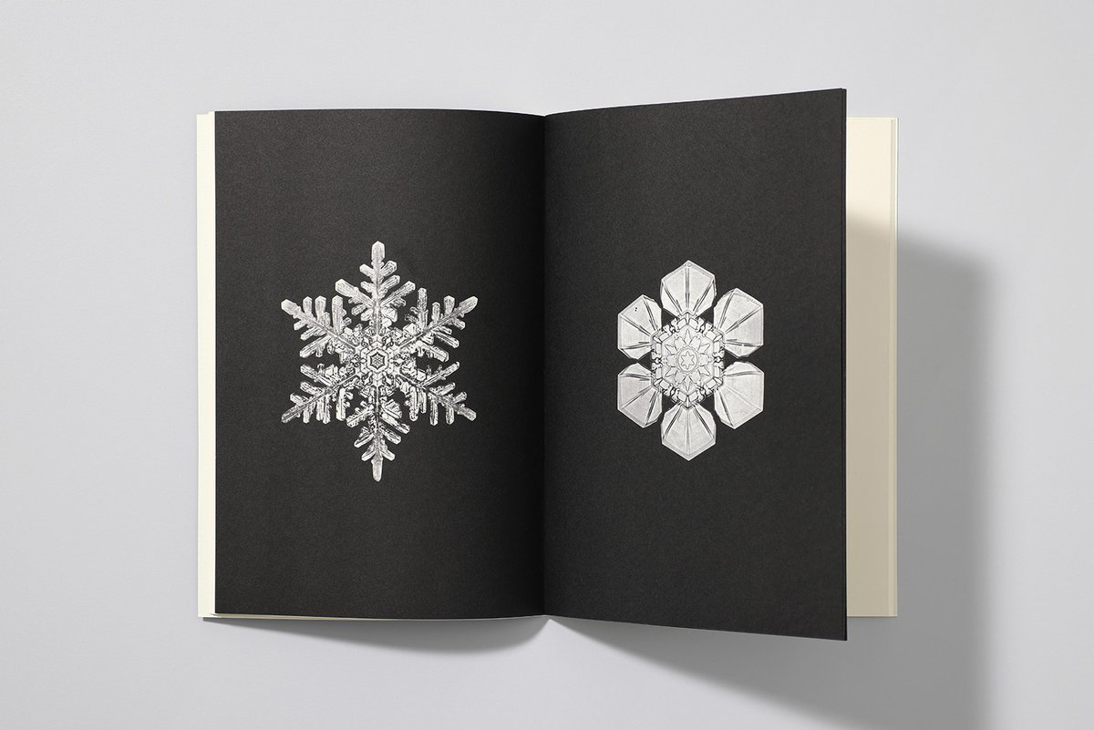 Reliefs Éditions tweet media