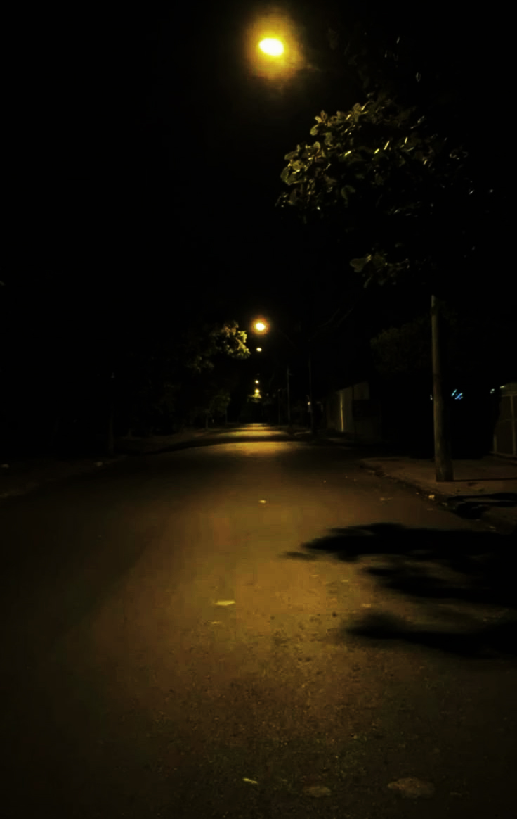 CLHS_Media's tweet photo. To learn more about camera settings, specifically ISO, Pre-AICE Photography students @CypressLakeHigh  took photos after dark.
@LeeSchools  @LeeCountyCTE  #mrsamosphotoclass https://t.co/0gkSZ7AmKT