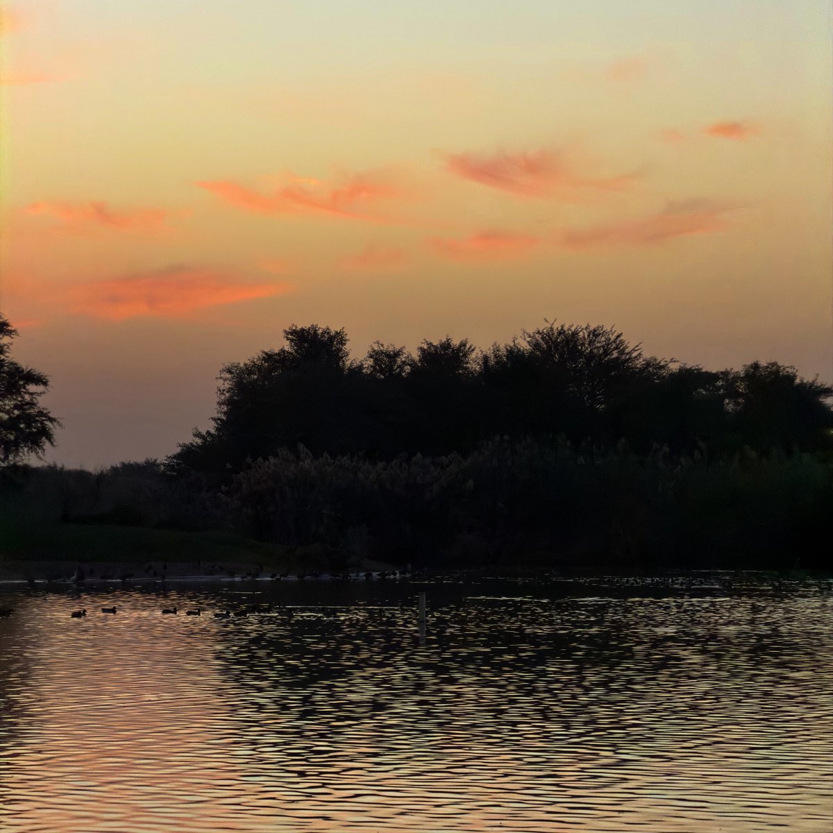 ِ (@theycallme26) on Twitter photo 